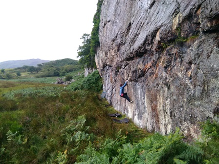 fast_twitch_armadillo_edit