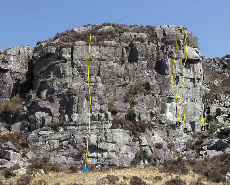 1 bareass bayAAee.jpeg